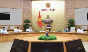 Thủ tướng: Ban hành 28 nghị định về phân cấp, phân quyền, phân định thẩm quyền chậm nhất ngày 15/6
