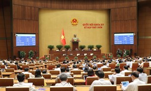 Quốc hội thông qua Luật Việc làm (sửa đổi)