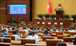 Kỳ họp thứ 9, Quốc hội khóa XV: Miễn, hỗ trợ học phí từ năm học 2025-2026 