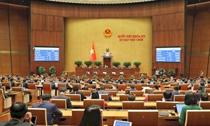 Quốc hội biểu quyết thông qua Nghị quyết về Kỳ họp thứ Chín, Quốc hội khoá XV