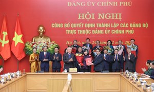 Kế hoạch 56-KH/BCĐ: Các nhiệm vụ của Đảng ủy Chính phủ trong lãnh đạo, chỉ đạo kiểm tra, hướng dẫn việc sắp xếp, tinh gọn tổ chức bộ máy 