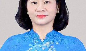 Tiểu sử đồng chí Nguyễn Thị Tuyến, Phó Chủ tịch UBTƯ MTTQ Việt Nam, Chủ tịch Hội Liên hiệp Phụ nữ Việt Nam