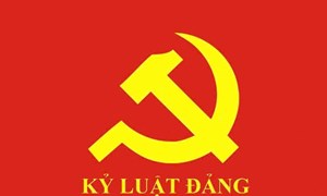 Bộ Chính trị, Ban Bí thư xem xét, thi hành kỷ luật đảng viên vi phạm 