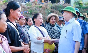 Phó Thủ tướng Hồ Đức Phớc: Xem xét hỗ trợ tỉnh Nghệ An thêm 500 tỷ đồng khắc phục hậu quả mưa lũ