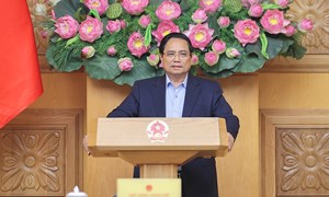 Khẩn trương ban hành quy định chức năng, nhiệm vụ, cơ cấu tổ chức của các cơ quan chuyên môn thuộc UBND cấp tỉnh, cấp xã