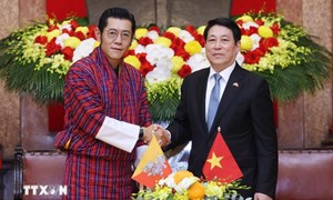 Chủ tịch nước Lương Cường hội đàm với Quốc vương Bhutan