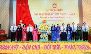 Thủ tướng yêu cầu phối hợp, tạo điều kiện tổ chức Đại hội Mặt trận Tổ quốc Việt Nam và các tổ chức chính trị - xã hội các cấp 