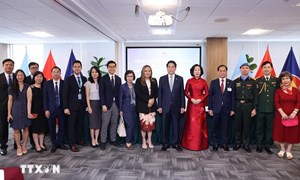 Chủ tịch nước gặp mặt cán bộ, nhân viên, đại diện cộng đồng người Việt Nam tại Hoa Kỳ