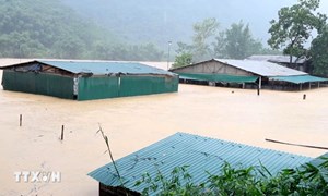 Thủ tướng: Không để người dân bị ảnh hưởng bão số 10 không có chỗ ở