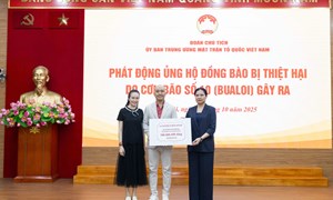 Hướng dẫn mức hỗ trợ một số nội dung chi từ nguồn đóng góp tự nguyện quy định tại Điều 11, Nghị định số 93/2021/NĐ-CP