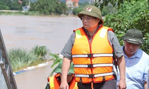 Triển khai đồng bộ, quyết liệt các giải pháp khắc phục hậu quả thiên tai sau bão số 11