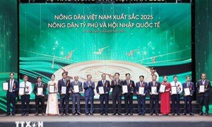 Chủ tịch nước: Đẩy mạnh đổi mới sáng tạo, chuyển đổi số trong nông nghiệp 