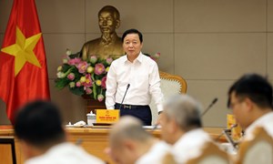Cơ sở dữ liệu đất đai phải tập trung, thống nhất, “đúng, đủ, sạch, sống“