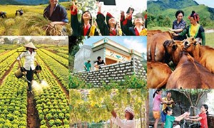 Tích hợp 3 chương trình mục tiêu quốc gia, tránh chồng chéo