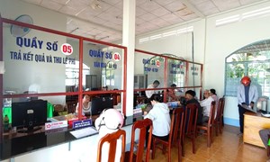 Hướng dẫn thành lập đơn vị sự nghiệp công lập đa ngành, đa lĩnh vực ở cấp xã