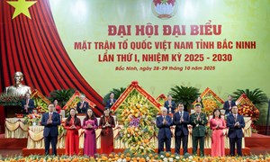 Đóng góp trí tuệ, công sức, nguồn lực để xây dựng tỉnh Bắc Ninh giàu đẹp, văn minh hiện đại, giàu bản sắc