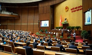 Nghị quyết số 101/2025/UBTVQH15: Hướng dẫn mới về cơ cấu, thành phần người được giới thiệu ứng cử đại biểu Hội đồng nhân dân