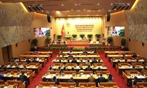 Nghị quyết số 106/2025/UBTVQH15: Quy định số lượng Phó chủ tịch Hội đồng nhân dân cấp tỉnh, cấp xã