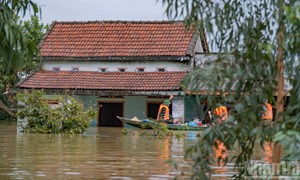 Hà Nội thăm hỏi, hỗ trợ 3 tỉnh, thành phố miền Trung 30 tỷ đồng khắc phục mưa lũ