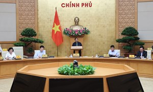 Thủ tướng yêu cầu sắp xếp, bố trí cán bộ, công chức, viên chức bảo đảm đúng vị trí việc làm