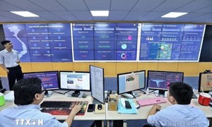 Thủ tướng chỉ thị đẩy mạnh phát triển khoa học, công nghệ, đổi mới sáng tạo và chuyển đổi số