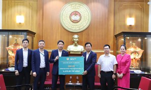 Ban Vận động cứu trợ Trung ương phân bổ số tiền 30 tỷ đồng hỗ trợ 3 tỉnh Quảng Ngãi, Gia Lai, Đắk Lắk khắc phục hậu quả cơn bão số 13