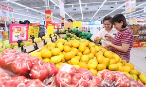 Kết luận số 207-KL/TW của Ban Bí thư về công tác bảo vệ quyền lợi của người tiêu dùng 