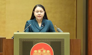 Quy trình hiệp thương lựa chọn, giới thiệu người ứng cử đại biểu Quốc hội, đại biểu HĐND các cấp và việc tổ chức các hội nghị lấy ý kiến cử tri