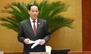 Cân nhắc loại trừ quy định về ghế trẻ em với xe taxi và xe dịch vụ