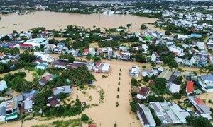 Triển khai tất cả các biện pháp cấp bách cần thiết để ứng phó với mưa lũ đặc biệt lớn tại Khánh Hòa, Đắk Lắk và Gia Lai