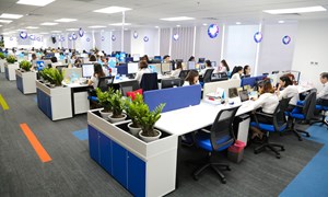 Nghị định số 303/2025/NĐ-CP: Quy định mới về nhiệm vụ, cơ cấu tổ chức của bộ, cơ quan ngang bộ áp dụng từ 20/11/2025 