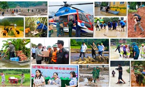 Kết luận số 213-KL/TW của Ban Bí thư về tăng cường sự lãnh đạo của Đảng đối với công tác phòng ngừa, ứng phó, khắc phục hậu quả thiên tai