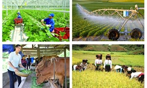 Kết luận của Bộ Chính trị về tiếp tục thực hiện Nghị quyết số 19-NQ/TW về nông nghiệp, nông dân, nông thôn đến năm 2030, tầm nhìn đến năm 2045