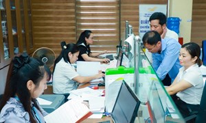 Nghị định số 314/2025/NĐ-CP của Chính phủ về Quy chế làm việc mẫu của Ủy ban nhân dân tỉnh, thành phố trực thuộc trung ương