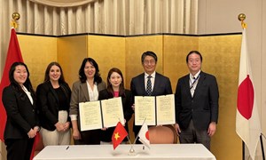 Nghị định số 313/2025/NĐ-CP của Chính phủ quy định về quản lý và sử dụng viện trợ không hoàn lại