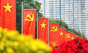 Kết luận số 229-KL/TW của Bộ Chính trị, Ban Bí thư về thực hiện một số nội dung, nhiệm vụ trọng tâm trong hoạt động của tổ chức cơ sở đảng trong thời gian tới