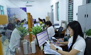 Nghị định số 361/2025/NĐ-CP của Chính phủ quy định chi tiết về nguyên tắc, trình tự, thủ tục xây dựng, thẩm quyền phê duyệt vị trí việc làm công chức