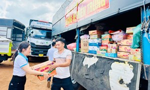 Nghị định số 03/2026/NĐ-CP: Quy định về tổ chức, hoạt động của quỹ xã hội, quỹ từ thiện