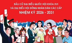 Bầu cử đại biểu Quốc hội và đại biểu Hội đồng nhân dân các cấp: Thời gian, quy trình bỏ phiếu và xác định kết quả