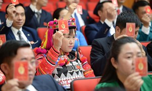  Quy định số 06-QĐ/TW của Ban Bí thư về quản lý và sử dụng thẻ đảng viên