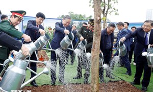 Tổng Bí thư Tô Lâm dự Lễ phát động “Tết trồng cây đời đời nhớ ơn Bác Hồ” 
