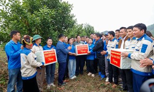 Thủ tướng Phạm Minh Chính: Cần biến núi rừng Tây Bắc trùng điệp thành của cải vật chất