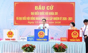 Bầu cử Quốc hội và HĐND: Quy trình xử lý phiếu bầu sau khi kết thúc bầu cử 