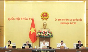 Nâng cao vai trò của cơ quan đại diện ở nước ngoài