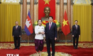 Chủ tịch nước tiếp Đại sứ Campuchia, Saudi Arabia, Dominica trình Quốc thư 