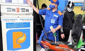 Thủ tướng: Đề xuất ứng ngân sách nhà nước cho Quỹ bình ổn giá xăng dầu 