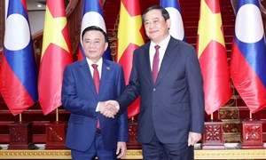 Thường trực Ban Bí thư Trần Cẩm Tú hội kiến Thủ tướng Lào Sonexay Siphandone