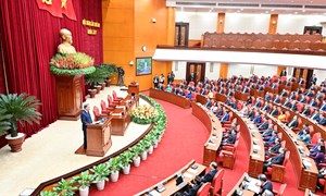 Quy định số 20-QĐ/TW về thi hành điều lệ Đảng