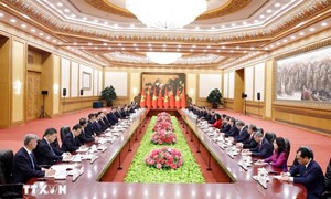 Tổng Bí thư, Chủ tịch nước Tô Lâm hội đàm với Tổng Bí thư, Chủ tịch Trung Quốc Tập Cận Bình