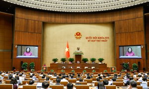 Báo cáo Tổng hợp ý kiến, kiến nghị của cử tri và Nhân dân gửi đến kỳ họp thứ Nhất, Quốc hội khóa XVI